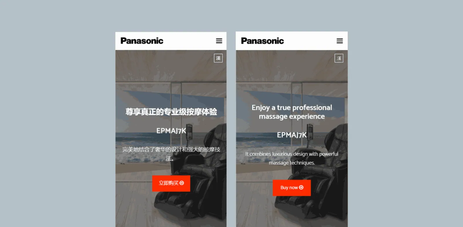 Panasonic Prestige project image