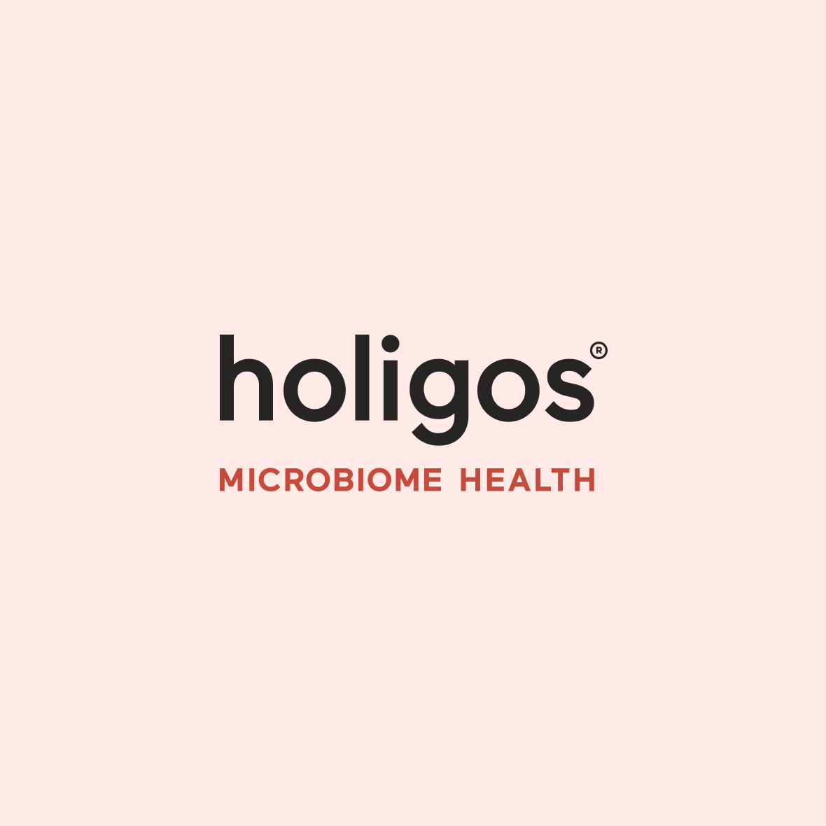 Holigos project image