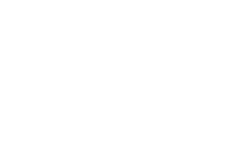 Holigos logo