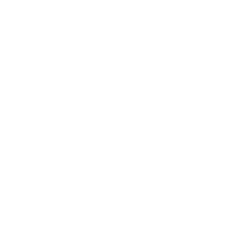 Slim Jim logo
