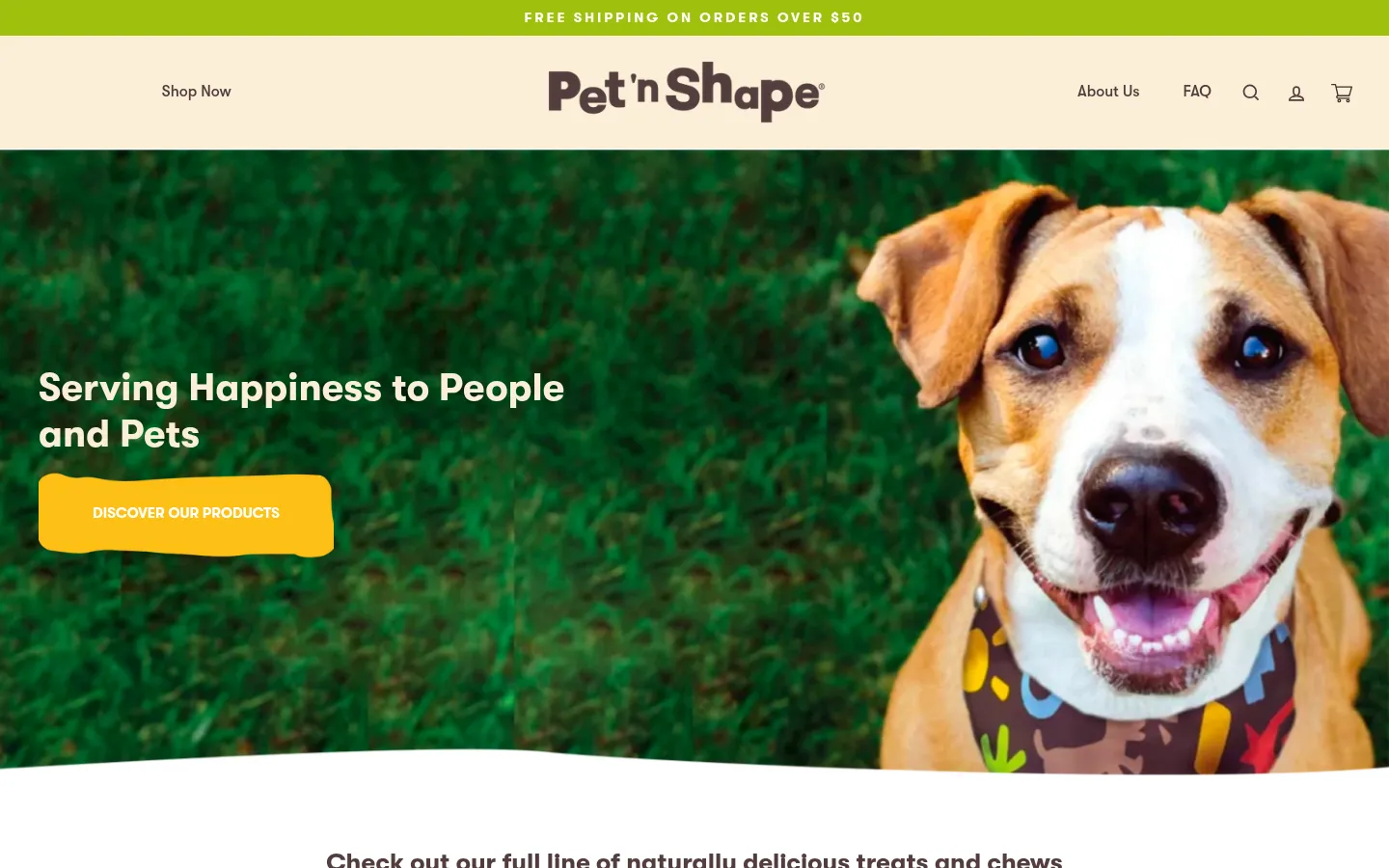 petnshape.com homepage on desktop